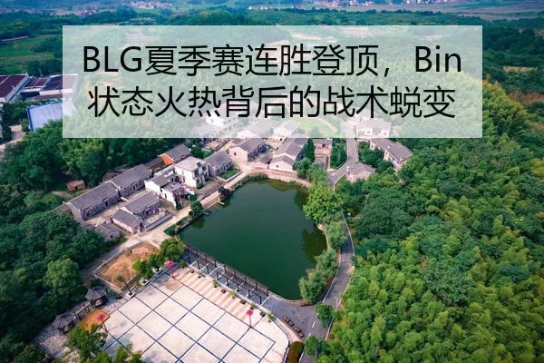 BLG夏季赛连胜登顶，Bin状态火热背后的战术蜕变